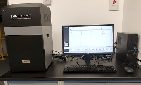 NEWS：12臺(tái)森西賽智化學(xué)發(fā)光、熒光、凝膠成像系統(tǒng)落戶海南省崖州灣種子實(shí)驗(yàn)室