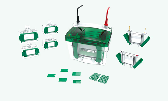 NEWS：“泳”于創(chuàng)新，森西賽智電泳儀系列正式發(fā)布！
