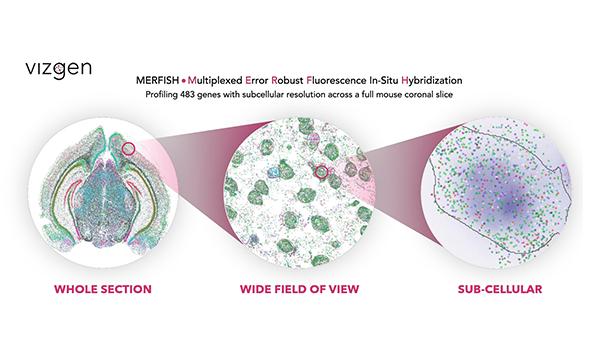 新聞快訊：森西賽智科技與Vizgen公司正式宣布開啟中國區(qū)戰(zhàn)略合作新征程，全方位助力中國空間組學(xué)研究